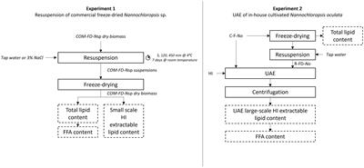 Resuspended freeze-dried Nannochloropsis as a model laboratory system for concentrated fresh Nannochloropsis in ultrasound cell disruption experiments